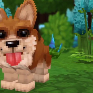 Dog（狗）