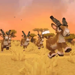 Antelopes（羚羊们）
