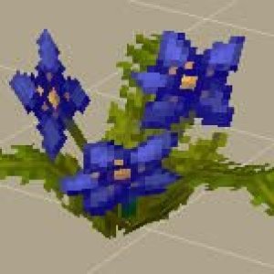 Purple Flowers（紫花）