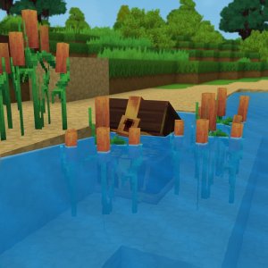 Submerged Block（水下方块）