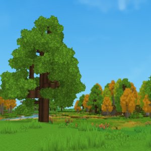 Tree（树木）