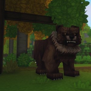 Bear（熊）