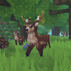 Deer（鹿）