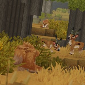Animal Behaviour 2 - predator（动物行为 2——捕食者）
