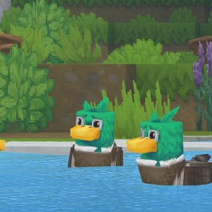 Ducks（鸭子）