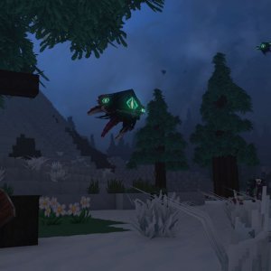 Void Eyes（虚空之眼）