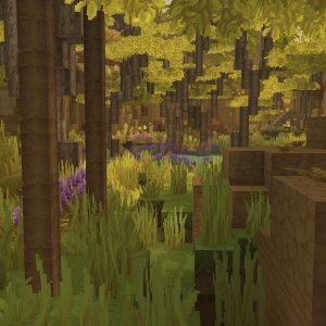 Oasis Biome 2（绿洲生物群系 2）