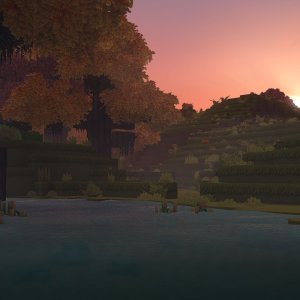 Autumn Forest Biome（秋日森林生物群系）