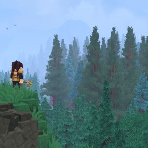 Forest（森林）