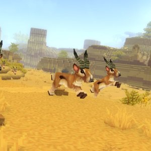 Antelope Herd（羚羊群）