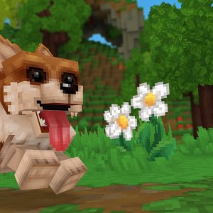 Good Boy Doggo（乖狗狗）