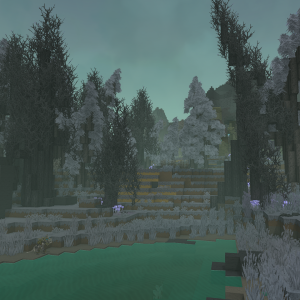 Forest（森林）