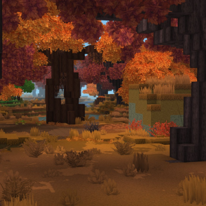 Forest（森林）