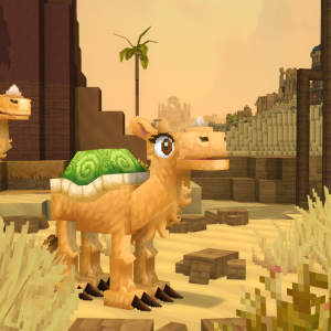 Camels（骆驼们）