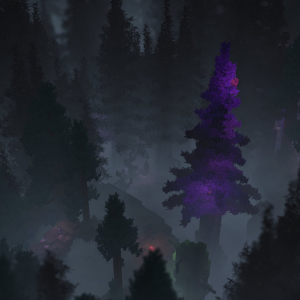 Forest（森林）