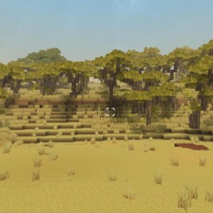Grassland（草地）