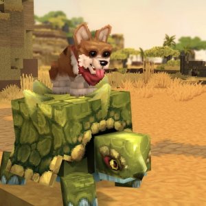 Dog Riding on a Turtle（狗骑在乌龟背上）