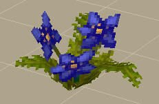 Purple Flowers（紫花）