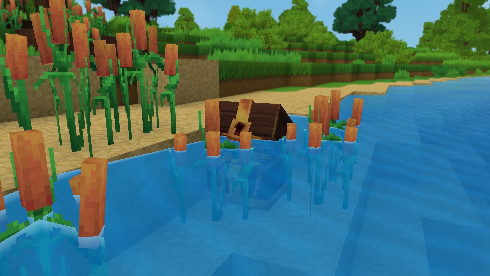 Submerged Block（水下方块）