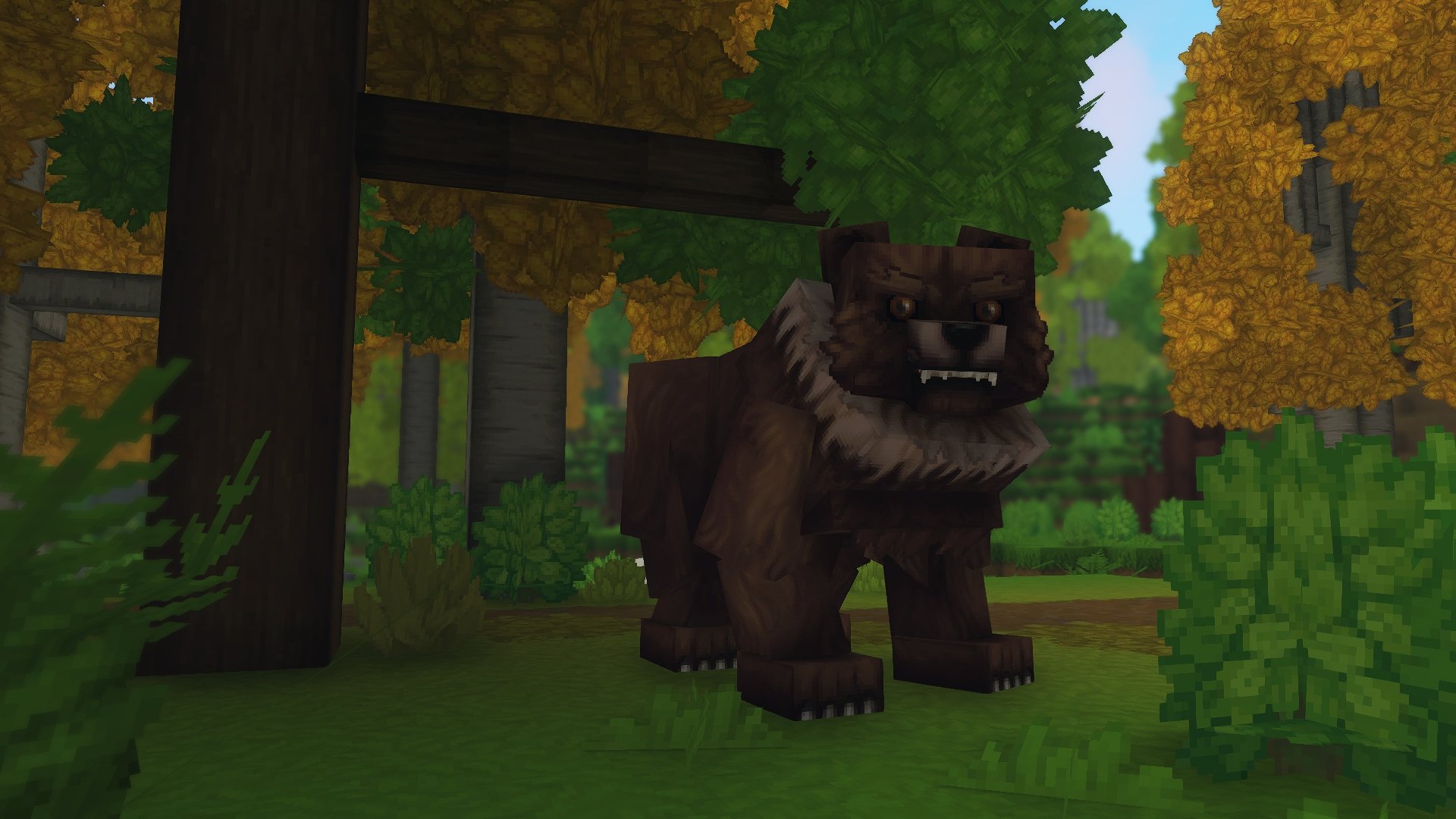 Bear（熊）
