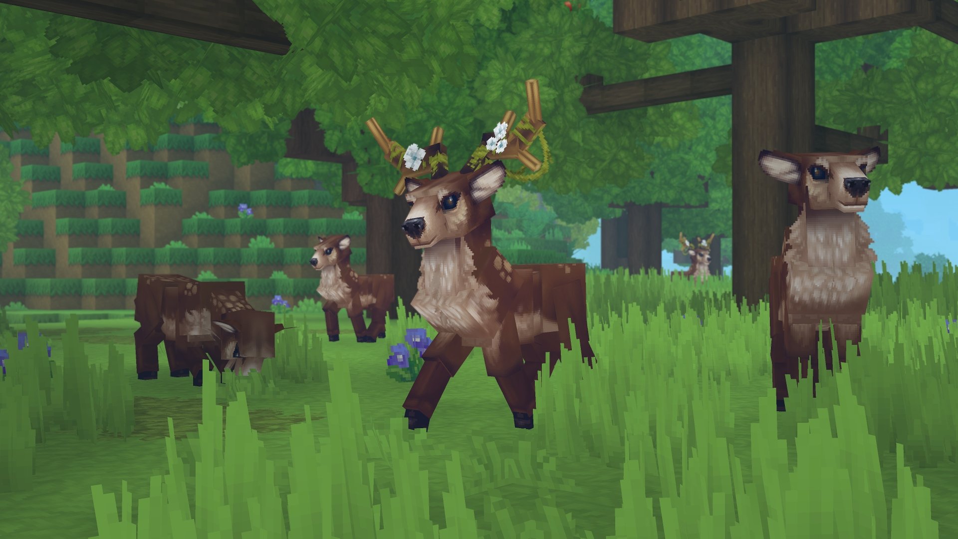 Deer（鹿）