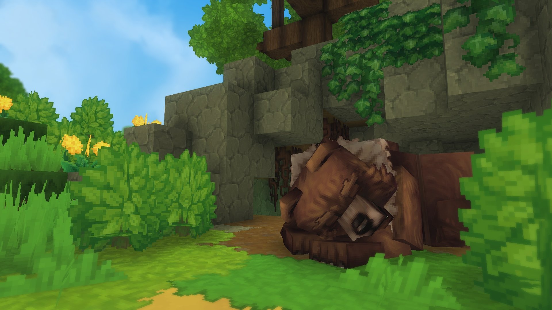 Bear Sleeping（睡觉的熊）