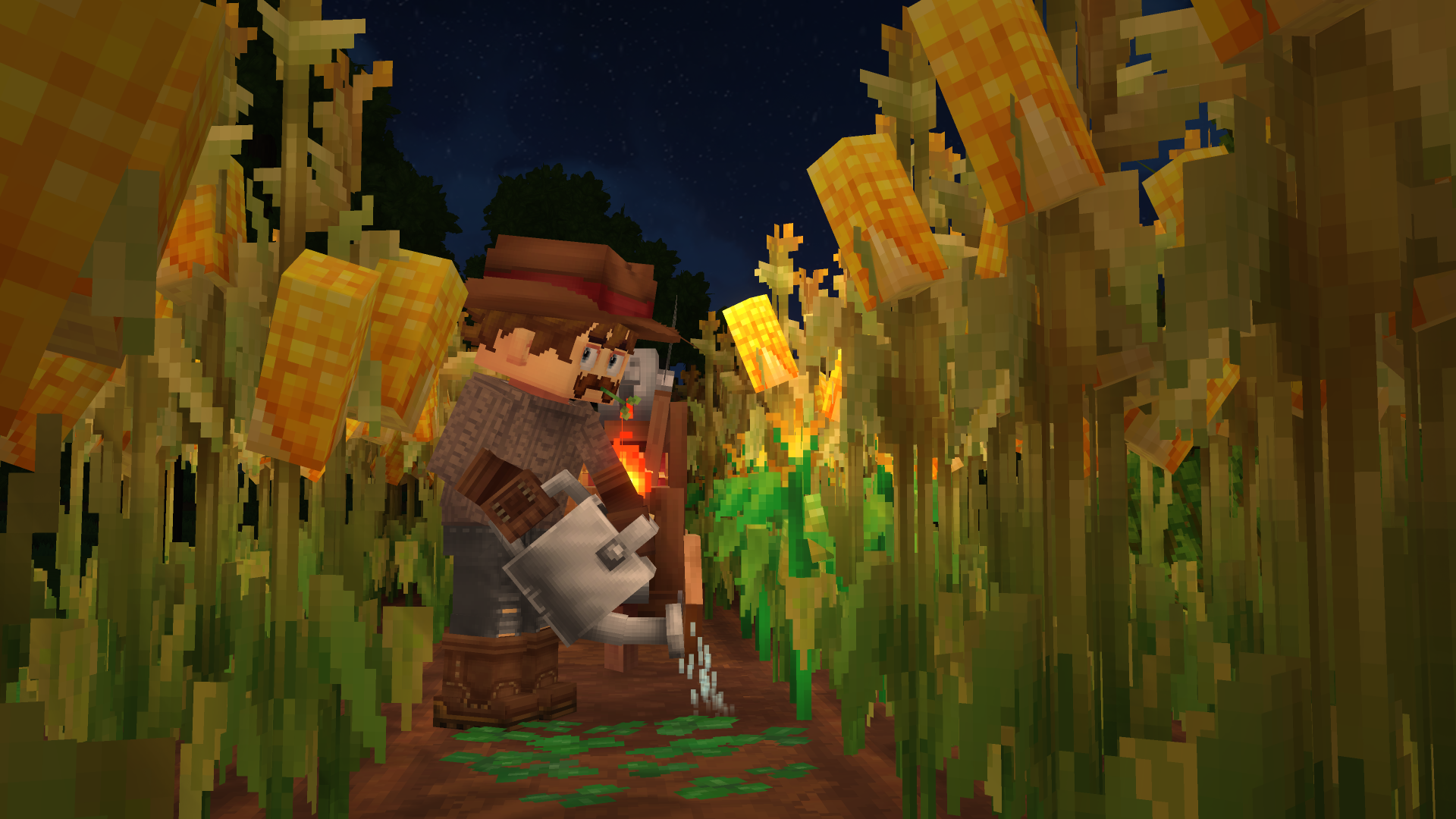 Watering Corn（浇灌玉米）