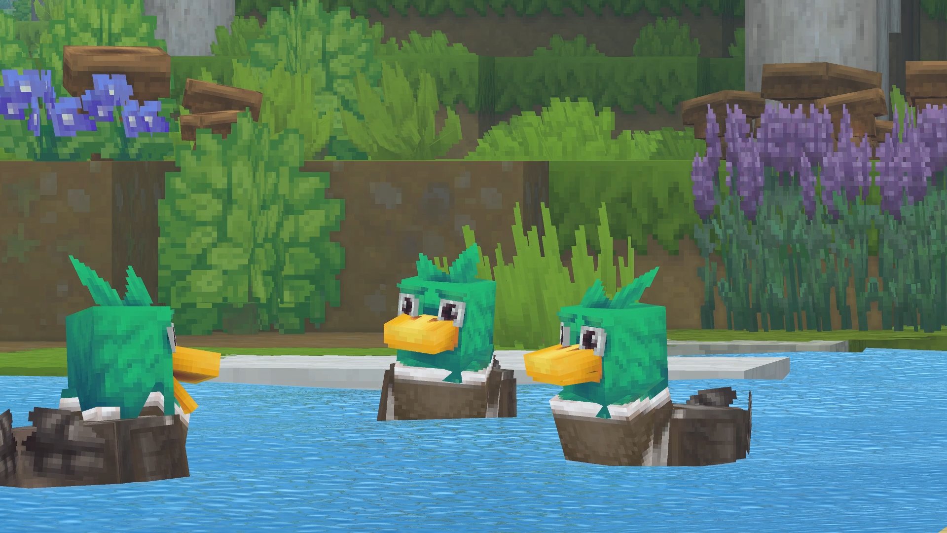 Ducks（鸭子）