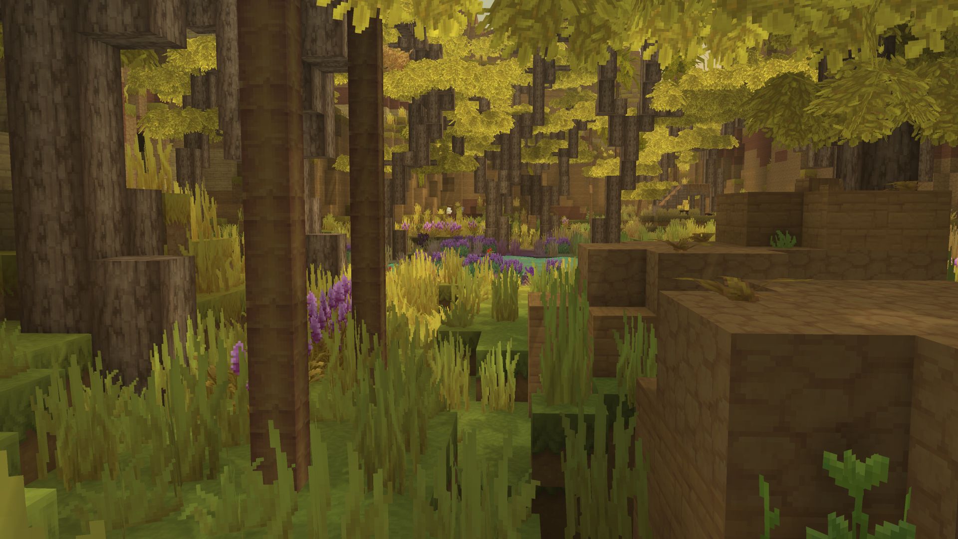 Oasis Biome 2（绿洲生物群系 2）