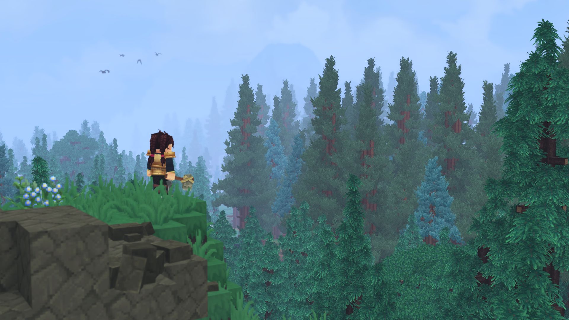 Forest（森林）