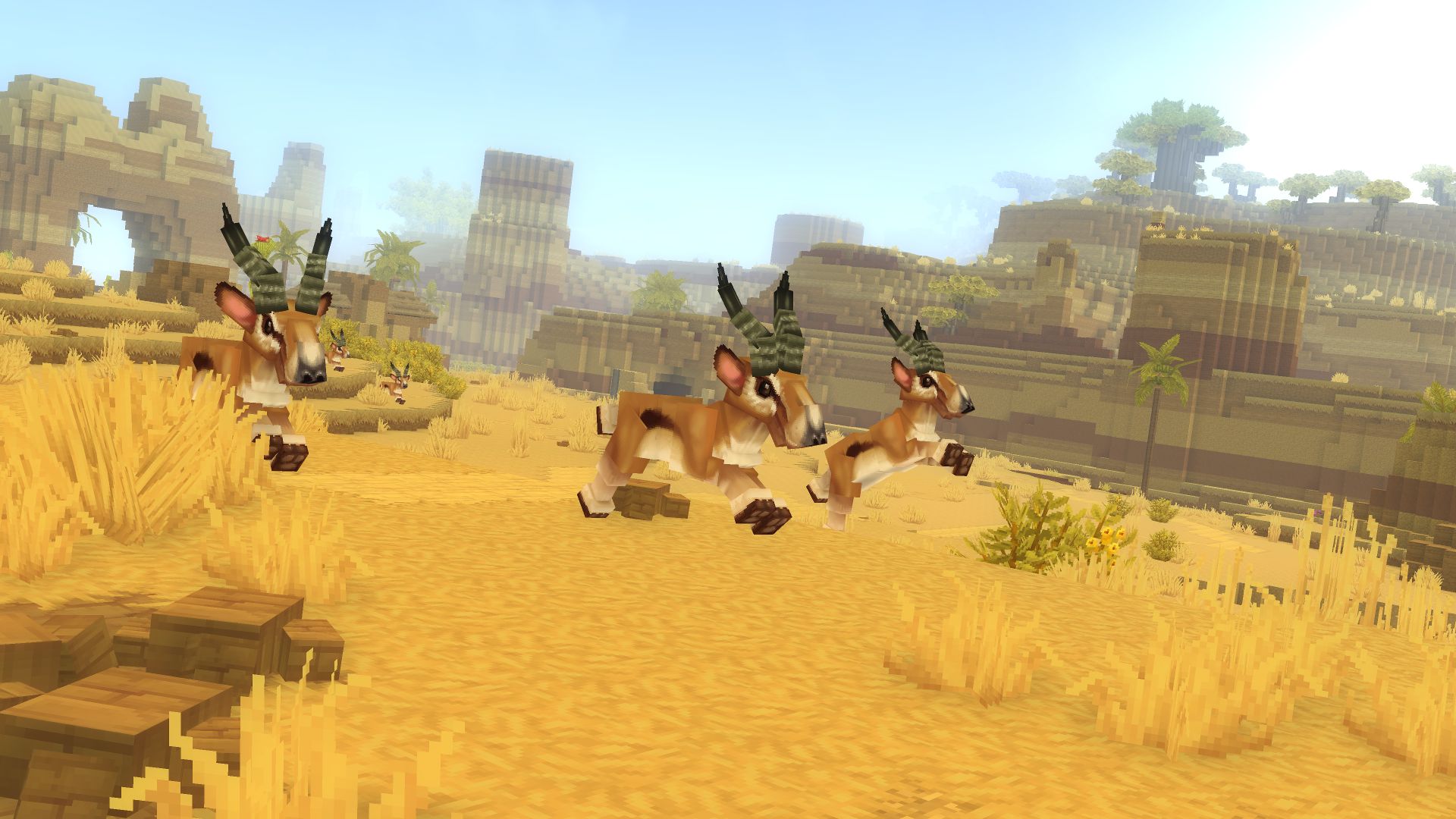 Antelope Herd（羚羊群）