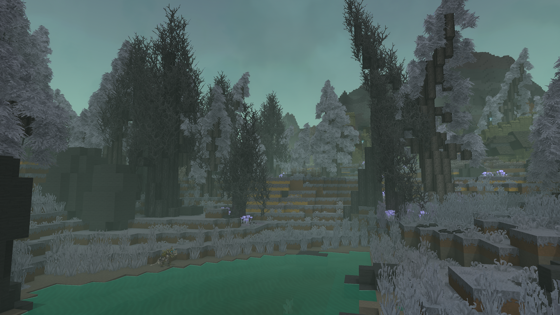 Forest（森林）