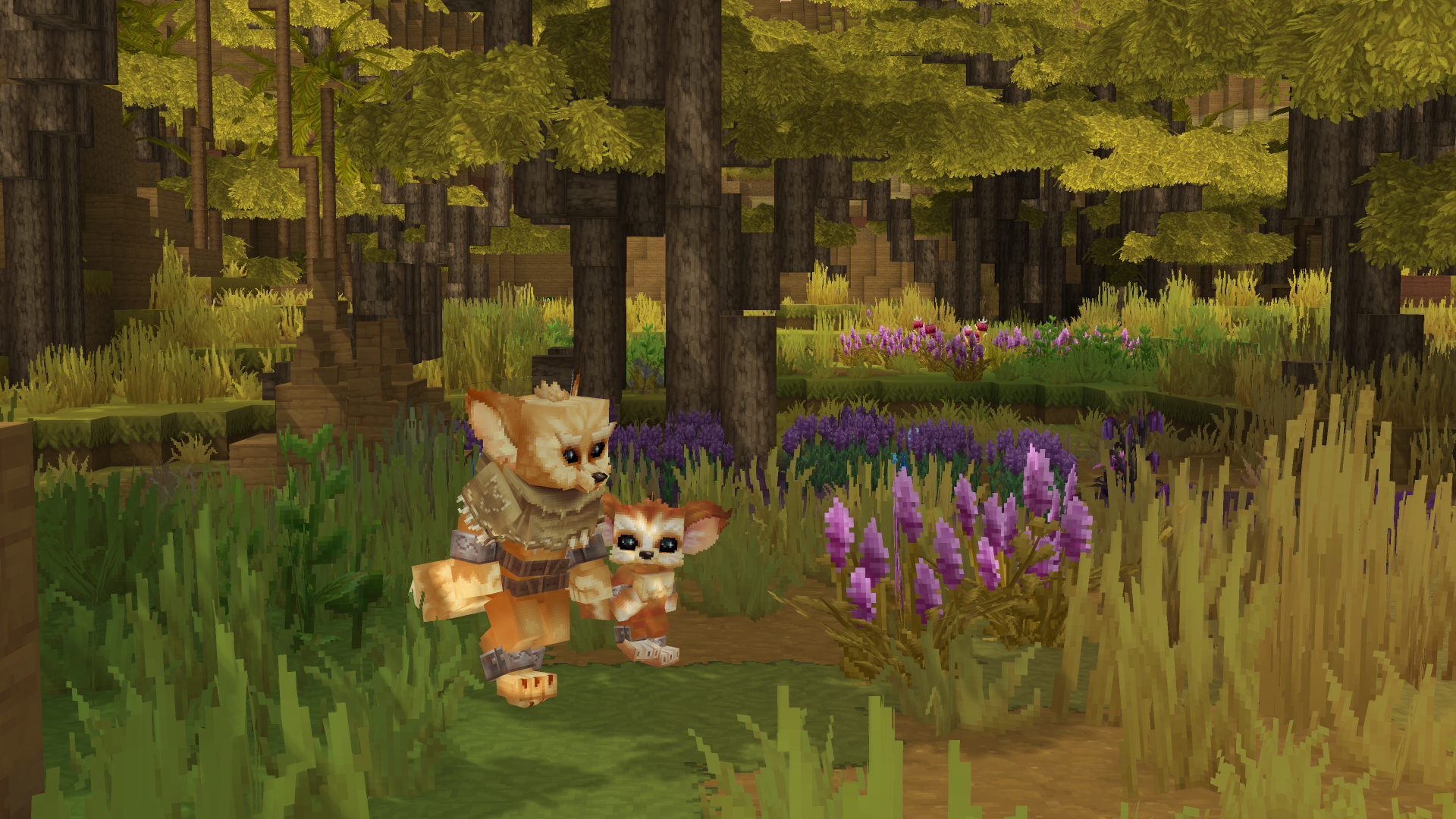 Ferans in the Wild（荒野中的 Feran 们）