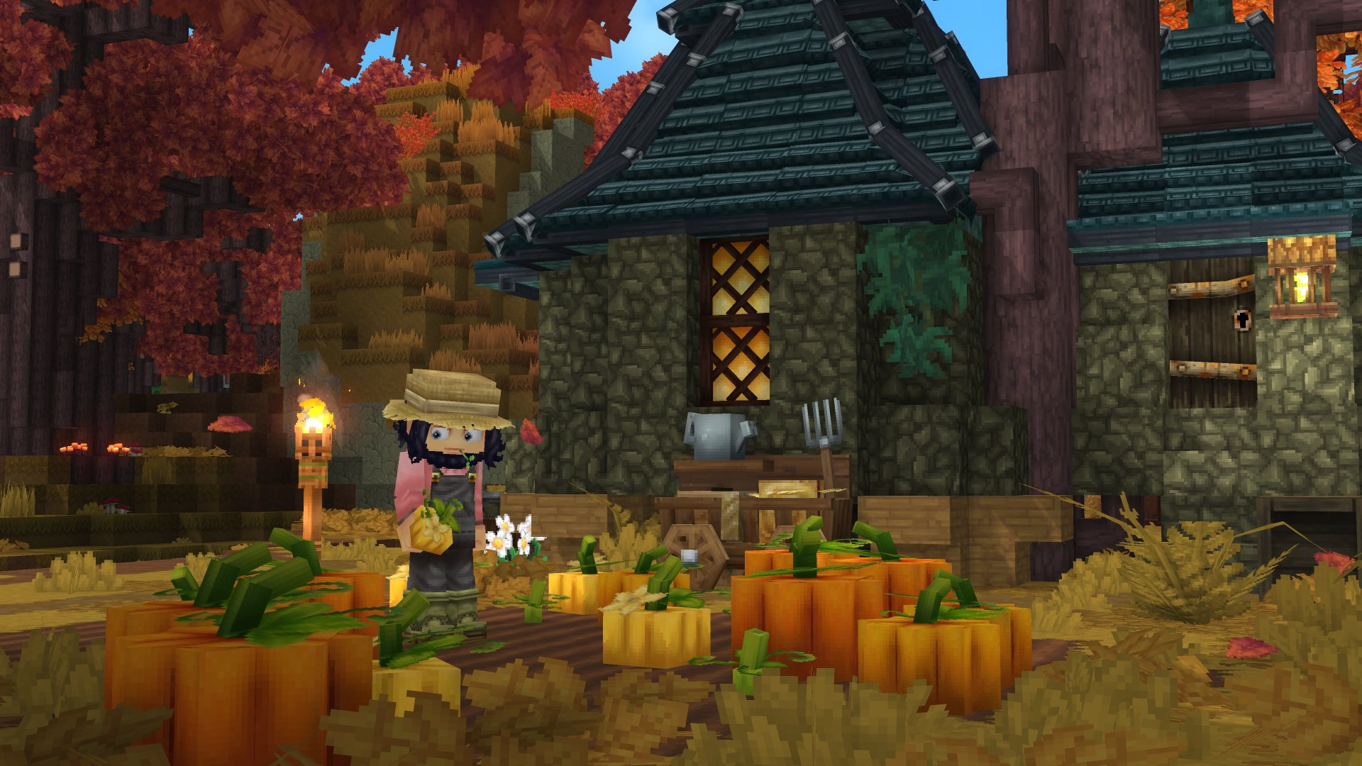 Planting Pumpkins（种植南瓜）