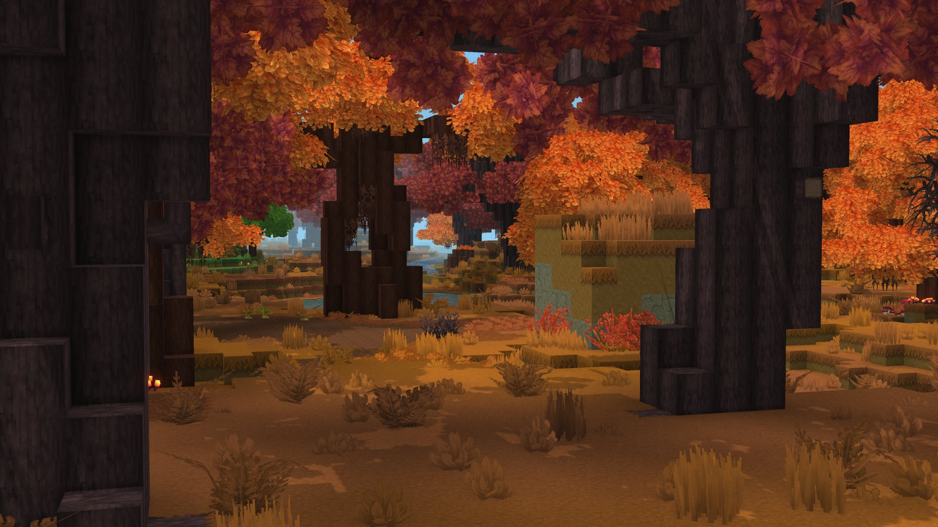 Forest（森林）