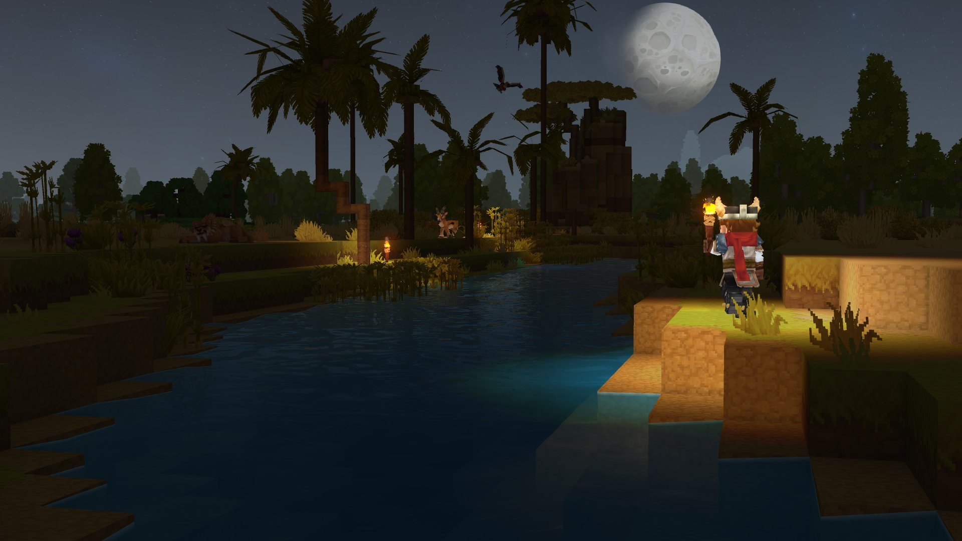 Night（夜晚）