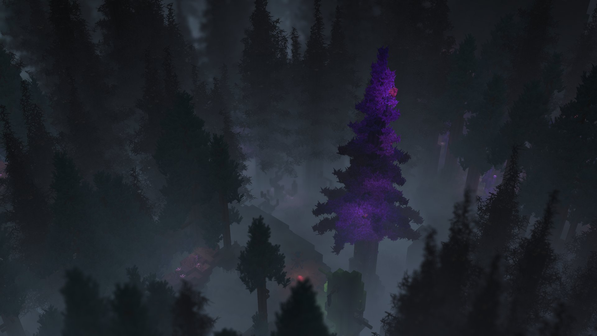 Forest（森林）