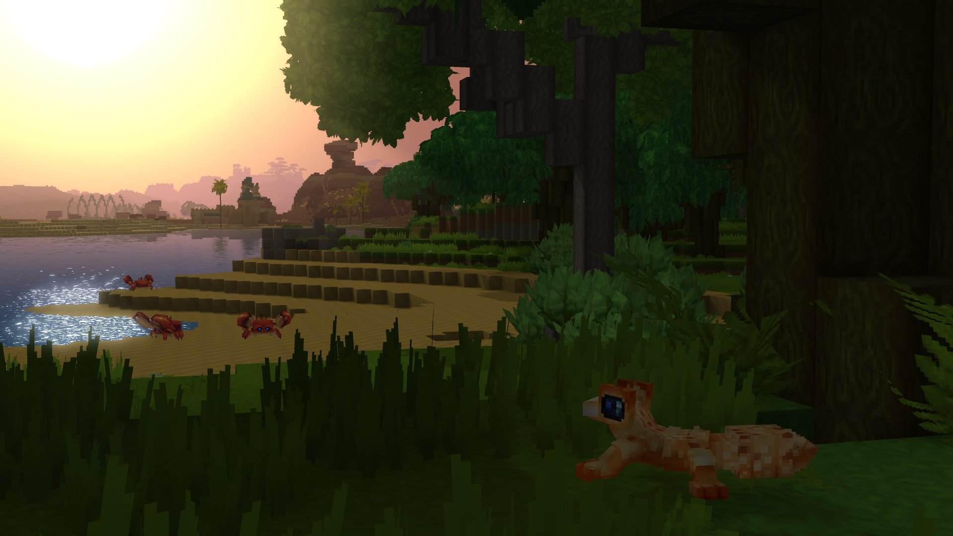 Crab Coast（螃蟹海岸）