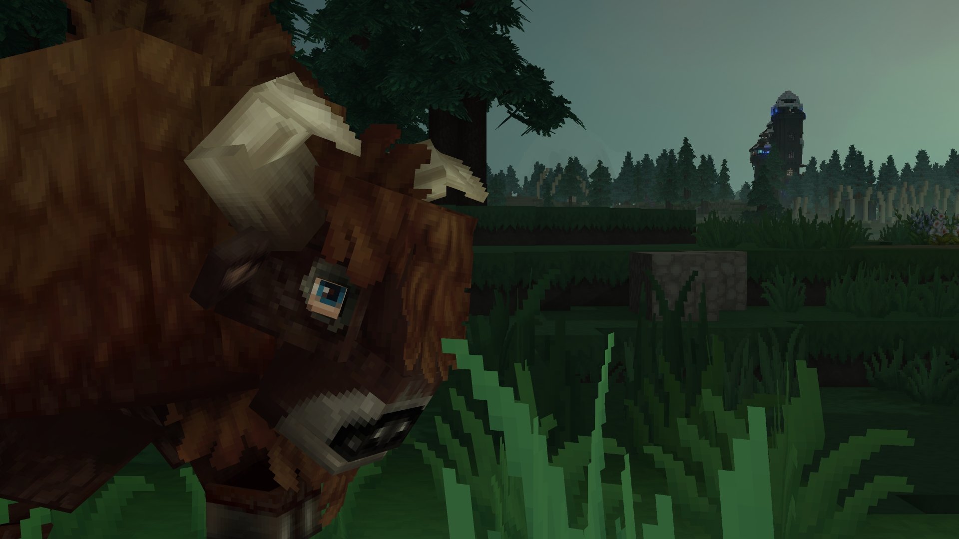 Cold North（寒冷的北方）