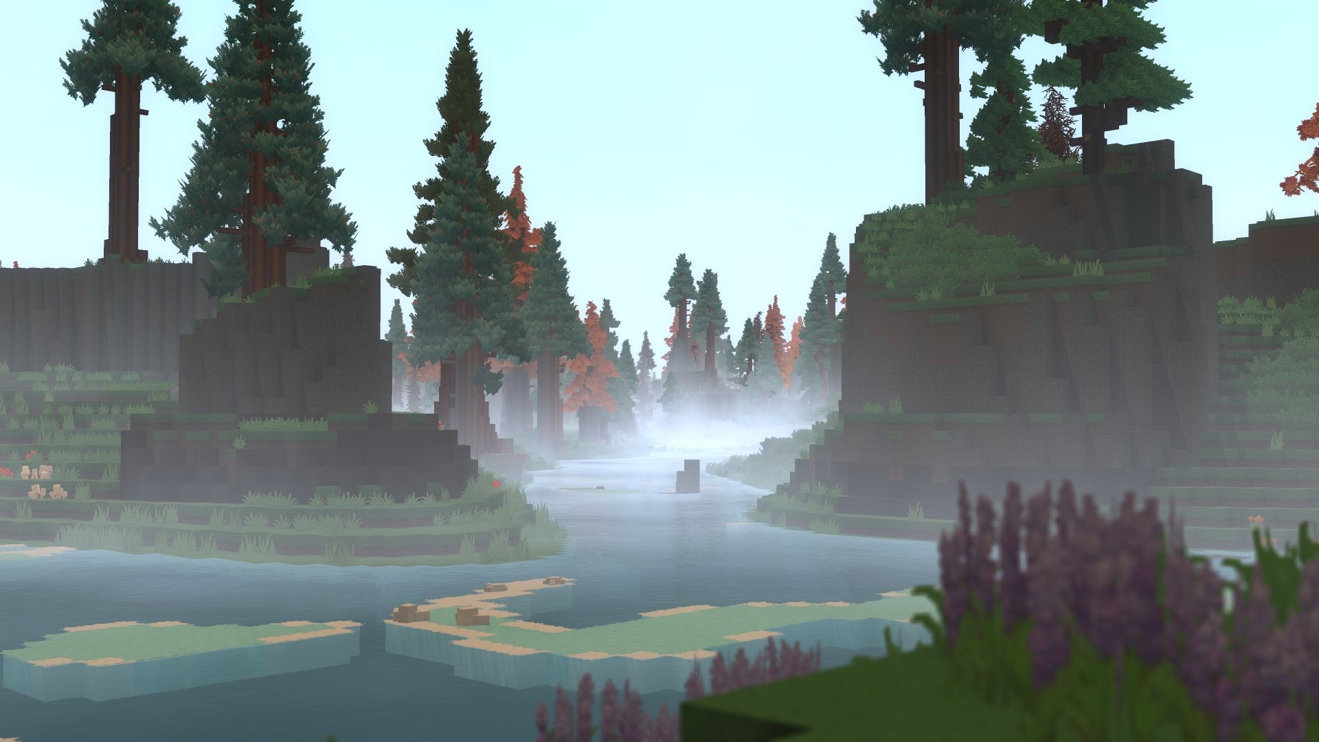 Misty Forest from Baxter（Baxter 的迷雾森林）