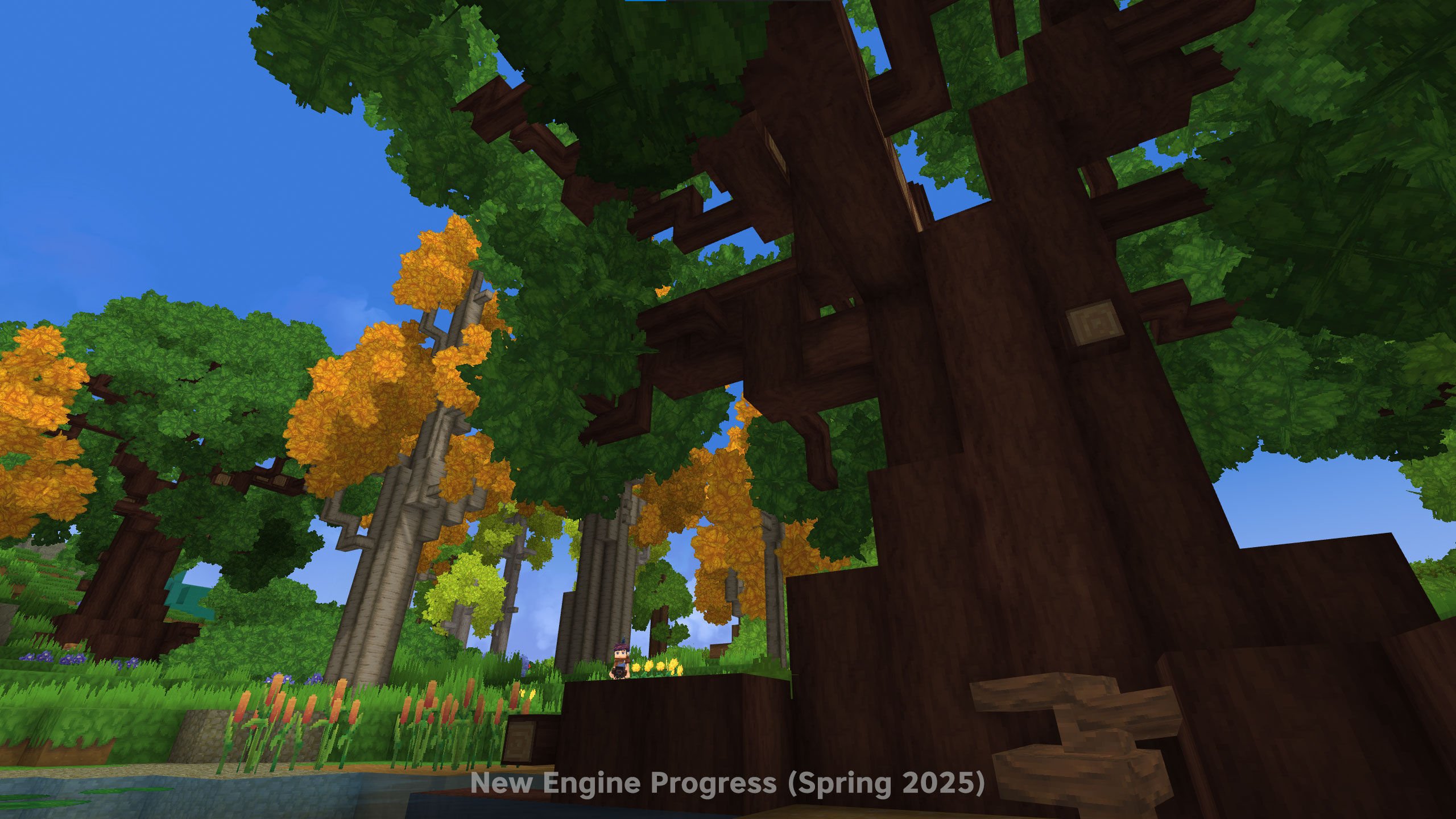 Trees 01（树木 01）