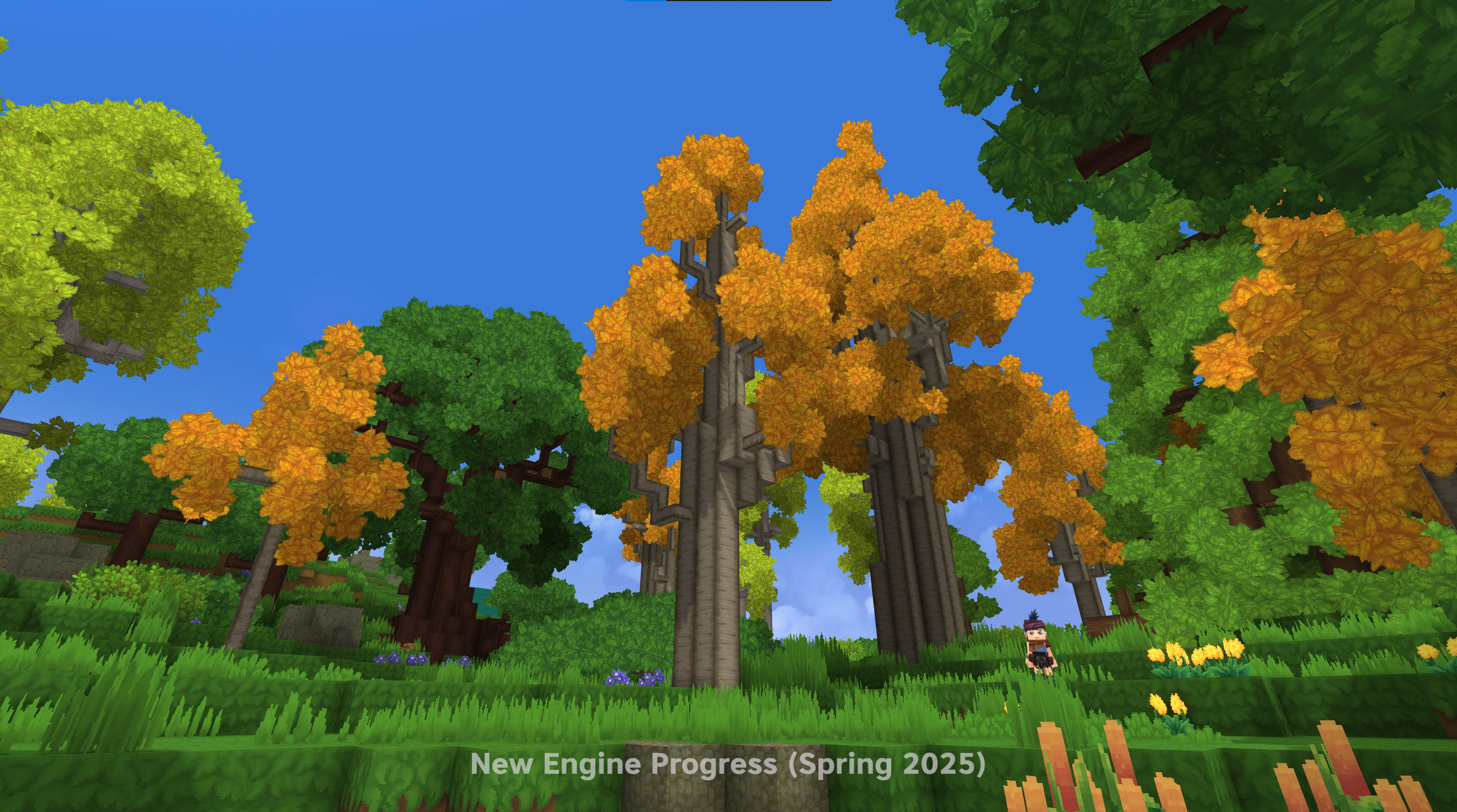 Trees 02（树木 02）