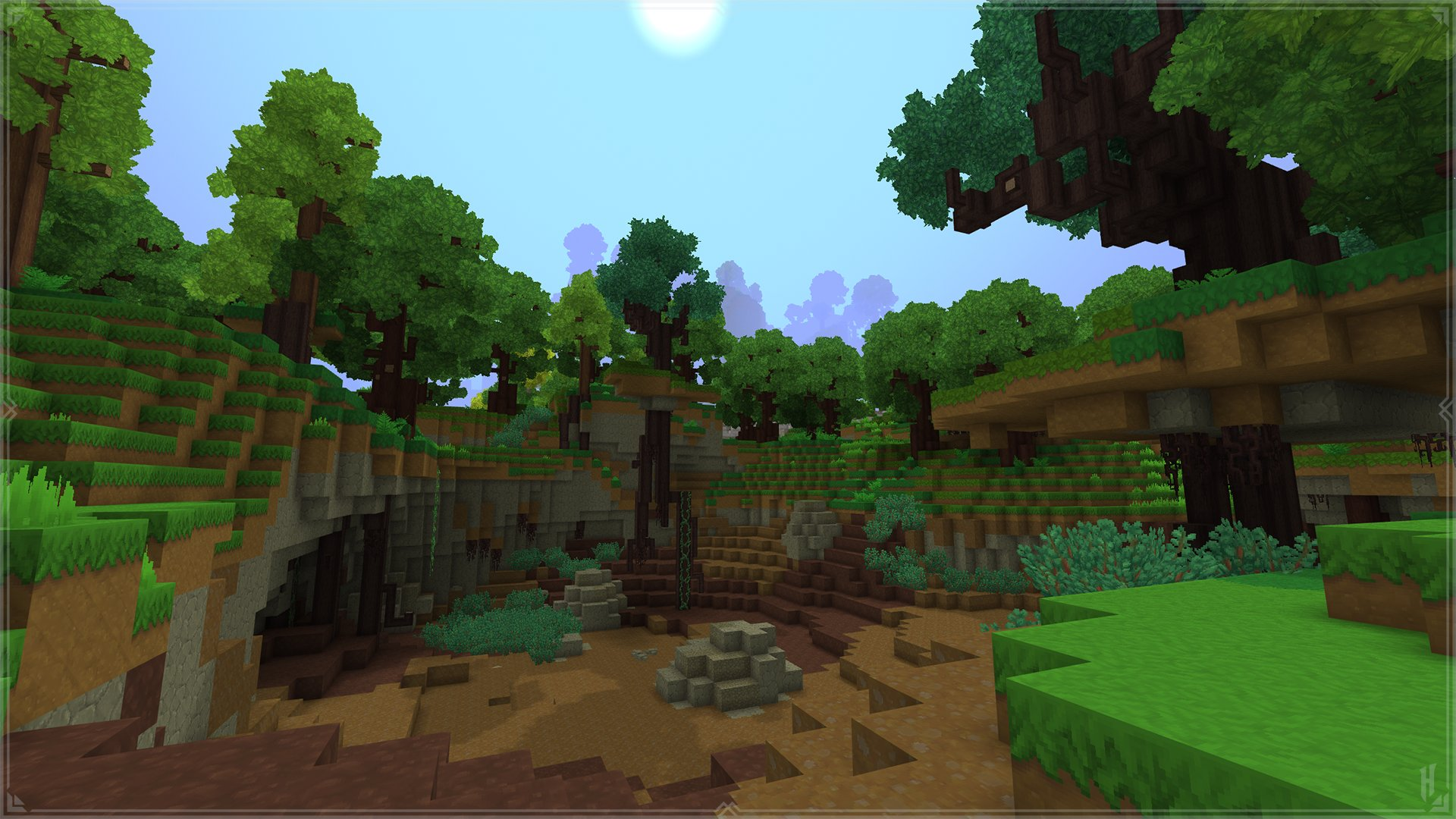 Forest（森林）