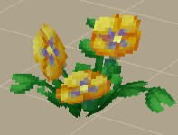Yellow Flowers（黄花）